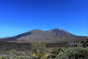 South Tenerife: Teide National Park and Masca Private Tour