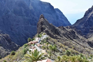 South Tenerife: Teide National Park and Masca Private Tour