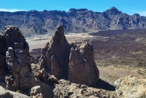 Teide National Park and Vilaflor ; local wine tasting