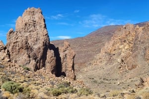 Teide National Park and Vilaflor ; local wine tasting