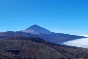 Teide National Park and Vilaflor ; local wine tasting