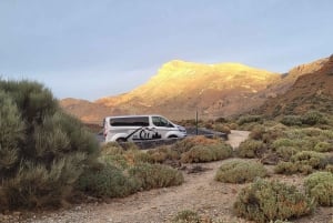 Teide National Park and Vilaflor ; local wine tasting