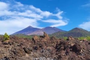 Teide National Park and Vilaflor ; local wine tasting