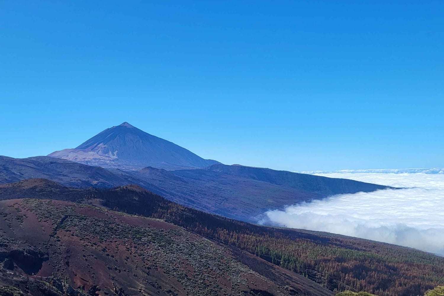 Parque Nacional del Teide y Vilaflor