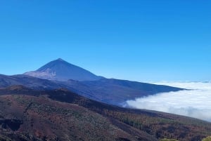 Parque Nacional del Teide y Vilaflor