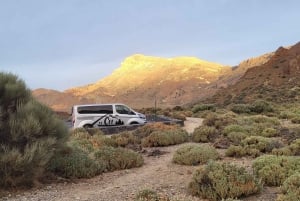 Parque Nacional del Teide y Vilaflor