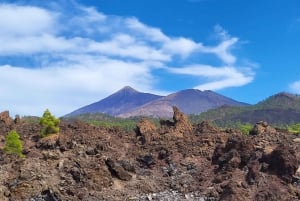 Parque Nacional del Teide y Vilaflor