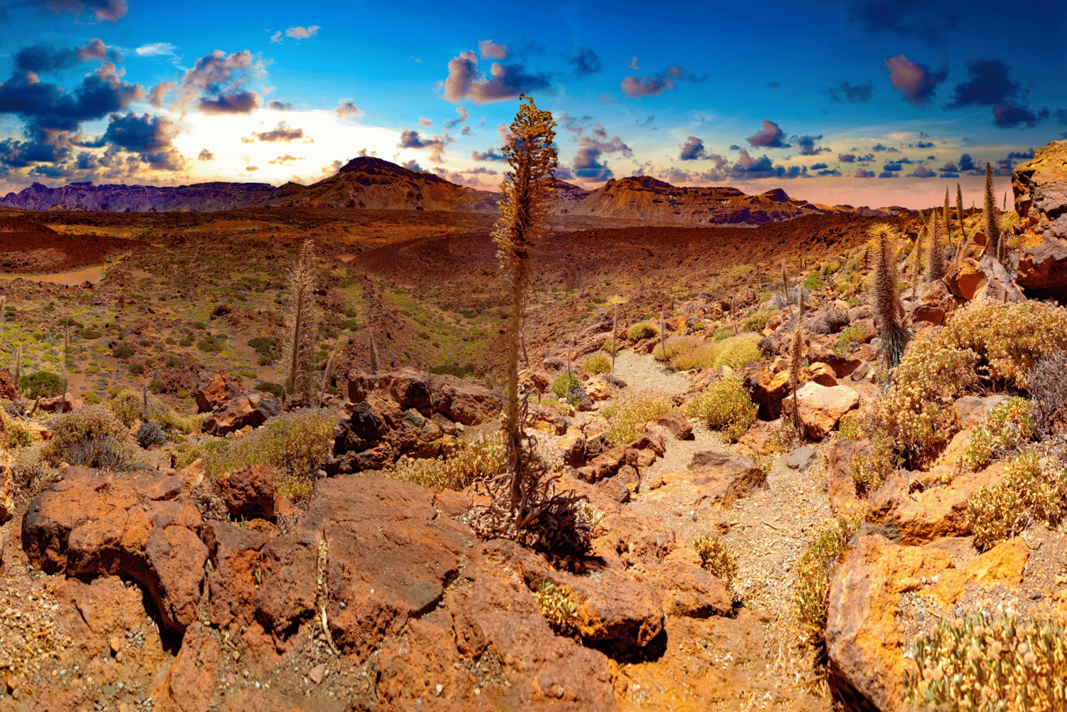 Teide National Park: Landscapes and Viewpoints Private Tour