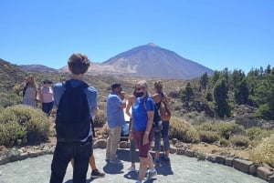 Teide nasjonalpark: Landskap og utsiktspunkter Privat tur