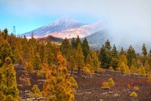 Teiden kansallispuisto: Teide: Maisemat ja näköalapaikat Yksityinen kierros