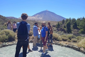 Teide National Park: Landscapes and Viewpoints Private Tour
