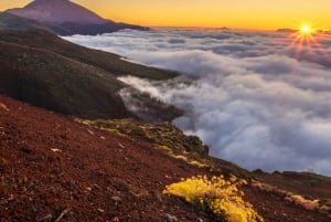 Teide National Park: Landscapes and Viewpoints Private Tour