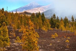 Teide National Park: Landscapes and Viewpoints Private Tour
