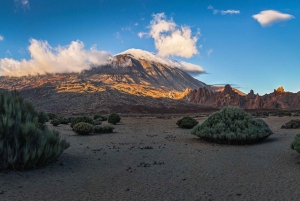 Teide National Park: Landscapes and Viewpoints Private Tour