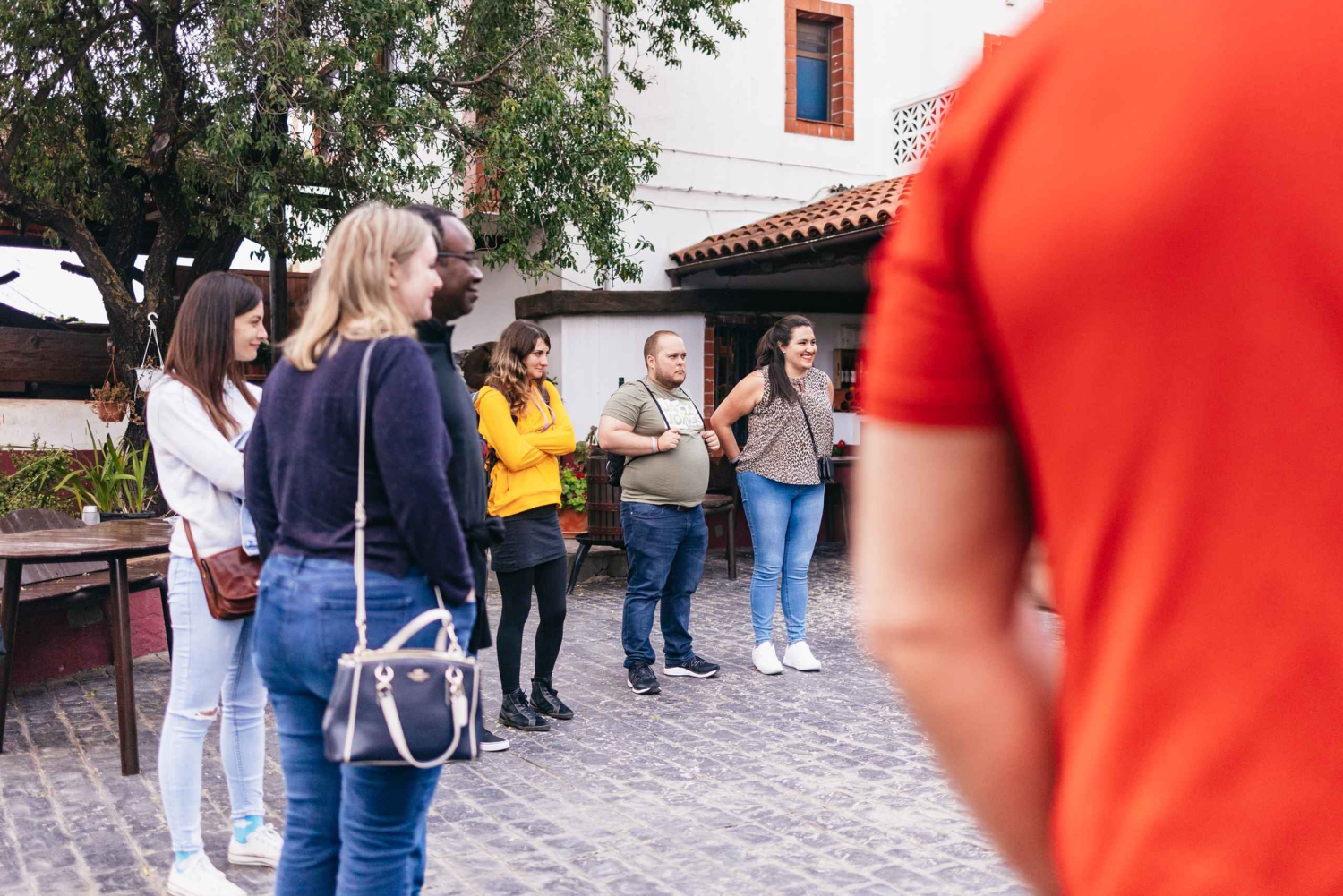 Teide Night Experience with Dinner and Stargazing