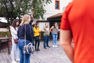 Teide Night Experience with Dinner and Stargazing