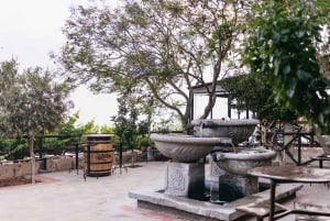 Teide Night Experience with Dinner and Stargazing