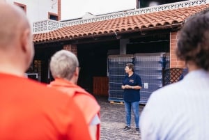 Teide Night Experience with Dinner and Stargazing