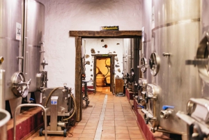 Teide Night Experience with Dinner and Stargazing