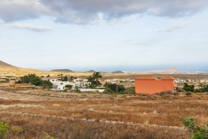 Teide Night Experience with Dinner and Stargazing
