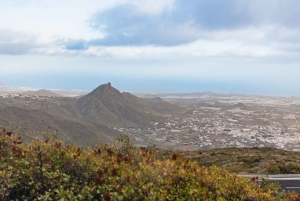 Teide Night Experience with Dinner and Stargazing