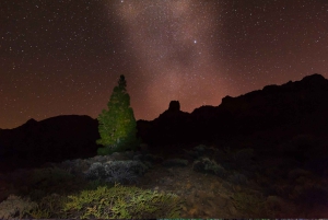 Teide Night Experience with Dinner and Stargazing