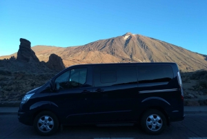 Teide: Private Cruise Ship Tour