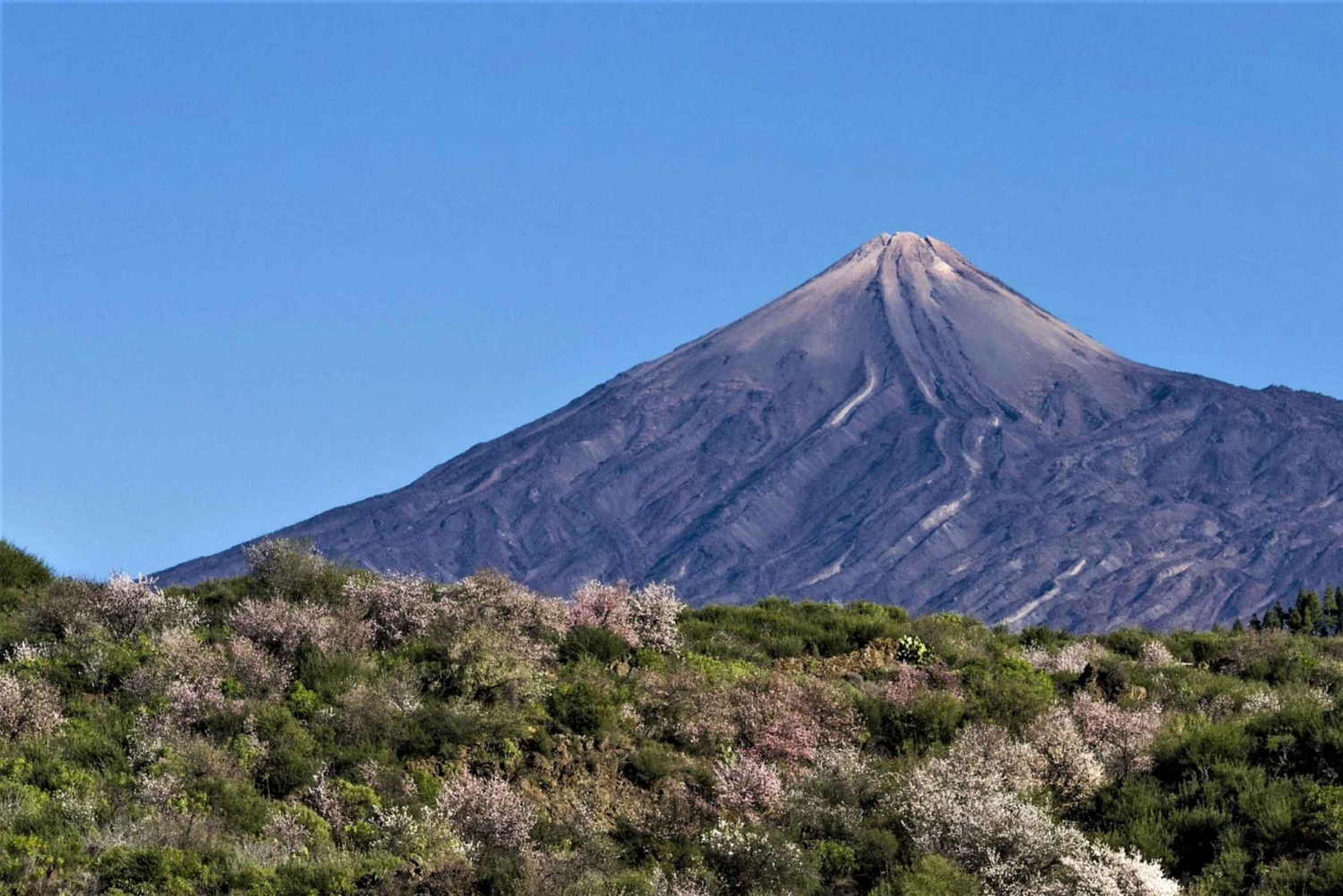 Teide: Romantic Sunset and Stargazing Tour with Dinner