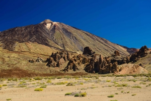 Teide: Romantic Sunset and Stargazing Tour with Dinner
