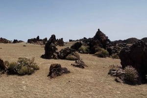 Teide & Secret Volcanoes – Tour Tenerife with a German Guide (8h)