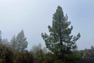 Teide & Secret Volcanoes – Tour Tenerife with a German Guide (8h)