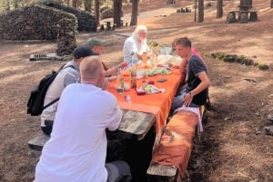 Teide & Secret Volcanoes – Tour Tenerife with a German Guide (8h)