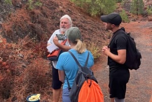 Teide & Secret Volcanoes – Tour Tenerife with a German Guide (8h)