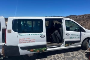 Teide & Secret Volcanoes – Tour Tenerife with a German Guide (8h)