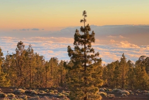 Teide: avontuur bij zonsondergang in kleine groep met picknick en sterrenkijken