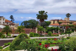 Teide Small groups, private tours.