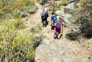 Teide Small groups, private tours.