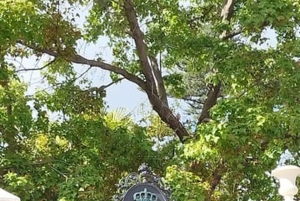 Teide Small groups, private tours.