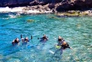 Tenerife: 2-dykk privat dykkeoppdagelseskurs