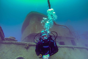 Tenerife: 2 Diving Sessions for Certified Divers