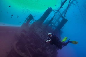 Tenerife: 2 Diving Sessions for Certified Divers