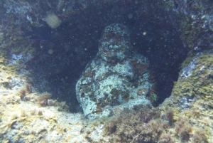 Tenerife: 2 Diving Sessions for Certified Divers