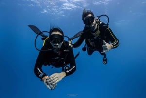 Tenerife - 2 Guided Dives for Certified Divers - Half Day