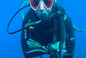 Tenerife - 2 Guided Dives for Certified Divers - Half Day