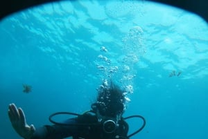 Teneriffa - 2 geführte Tauchgänge für zertifizierte Taucher - Halbtag