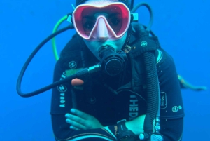 Teneriffa - 2 geführte Tauchgänge für zertifizierte Taucher - Halbtag