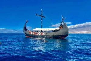 2-Hour Viking Ship Cruise