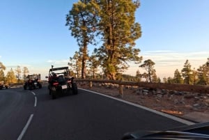 Tenerife : 4,5 heures d'excursion en buggy depuis le sud de Tenerife