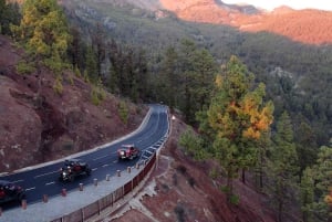 Tenerife : 4,5 heures d'excursion en buggy depuis le sud de Tenerife