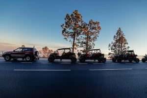 Tenerife : 4,5 heures d'excursion en buggy depuis le sud de Tenerife